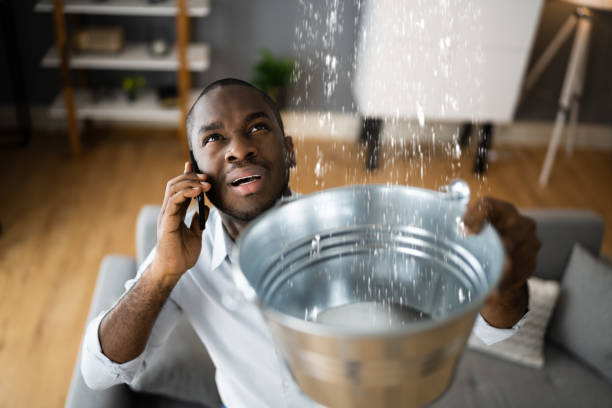 Best Water damage restoration near me  in Ranchester, WY