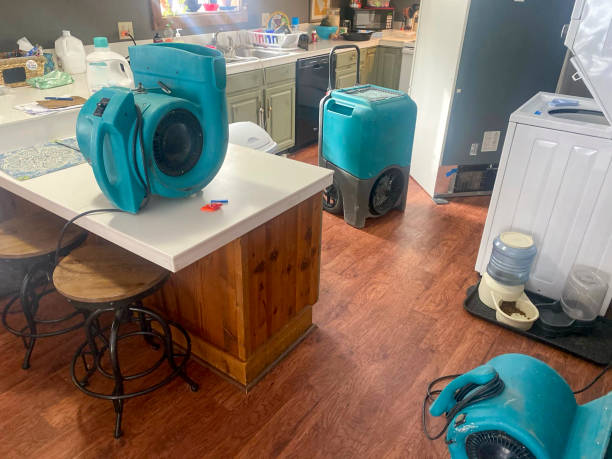  Ranchester, WY Water damage restoration Pros