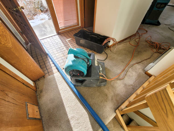 Best Commercial water damage restoration  in Ranchester, WY