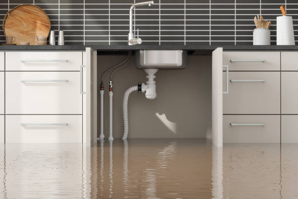 Reliable Ranchester, WY Water damage restoration Solutions
