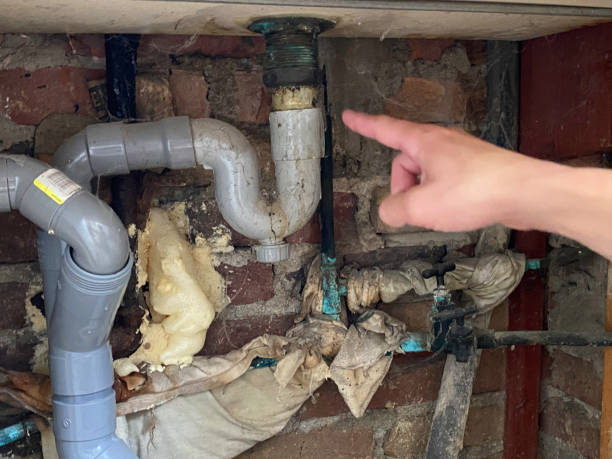 Best Sewage cleanup and water damage restoration  in Ranchester, WY