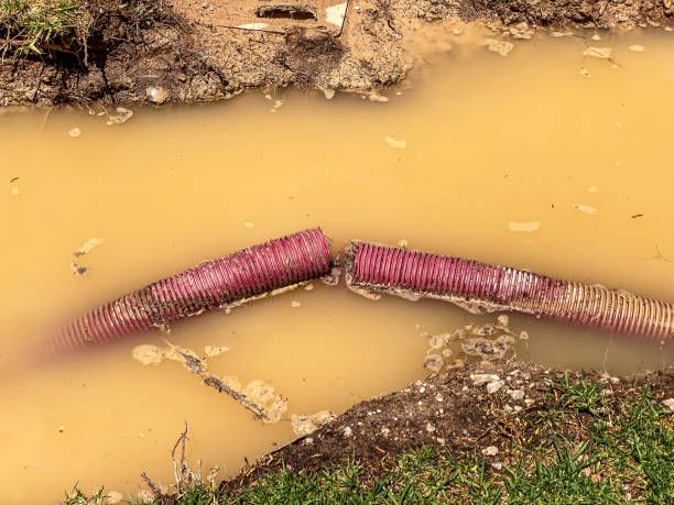 Best Water damage contractors near me  in Ranchester, WY
